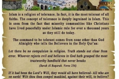05-Tolerance in Islam