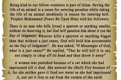 08-Kindness to Animals