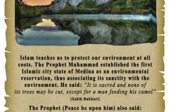 19 - Islam and the Environment