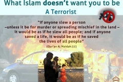 43-What Islam doesn't want you to be A Terrorist