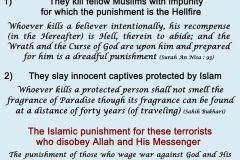 46-Cannot Be True Muslims
