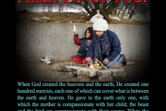 53-Allah loves You_afz