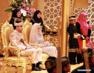 Brunei Royal Wedding