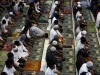 Indonesia Ramadan
