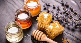 honey-healing-for-humankind