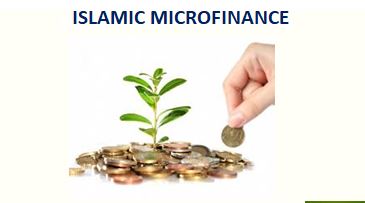 islamic micro finance in sri lanka